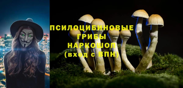 кокаин колумбия Новозыбков
