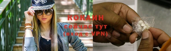 мет Новодвинск