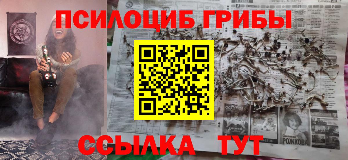 Галлюциногенные грибы Psilocybine cubensis  Вход с VPN  где найти   Воронеж 