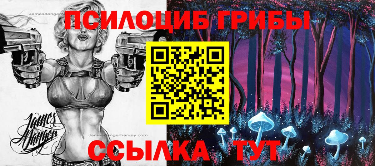Псилоцибиновые грибы Psilocybine cubensis Воронеж